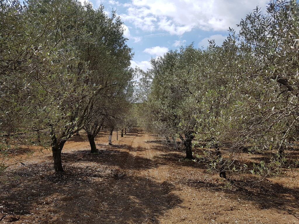 20170421 115916