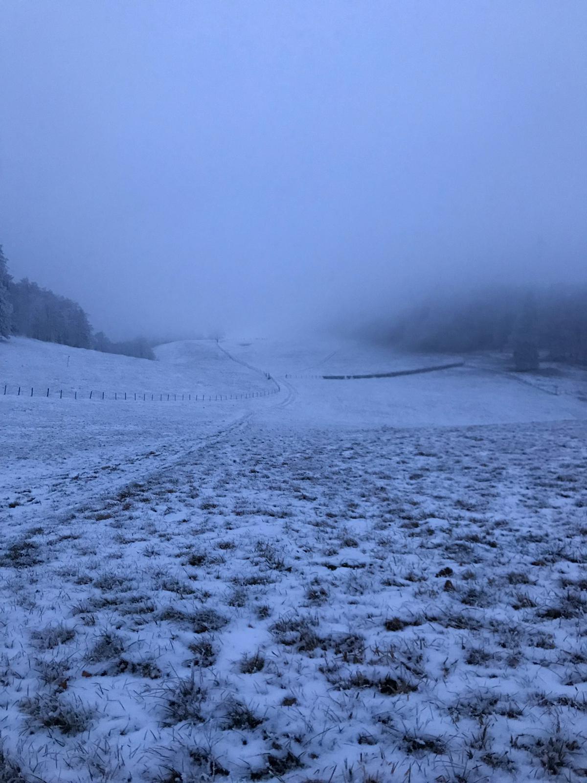 Vw2018.6