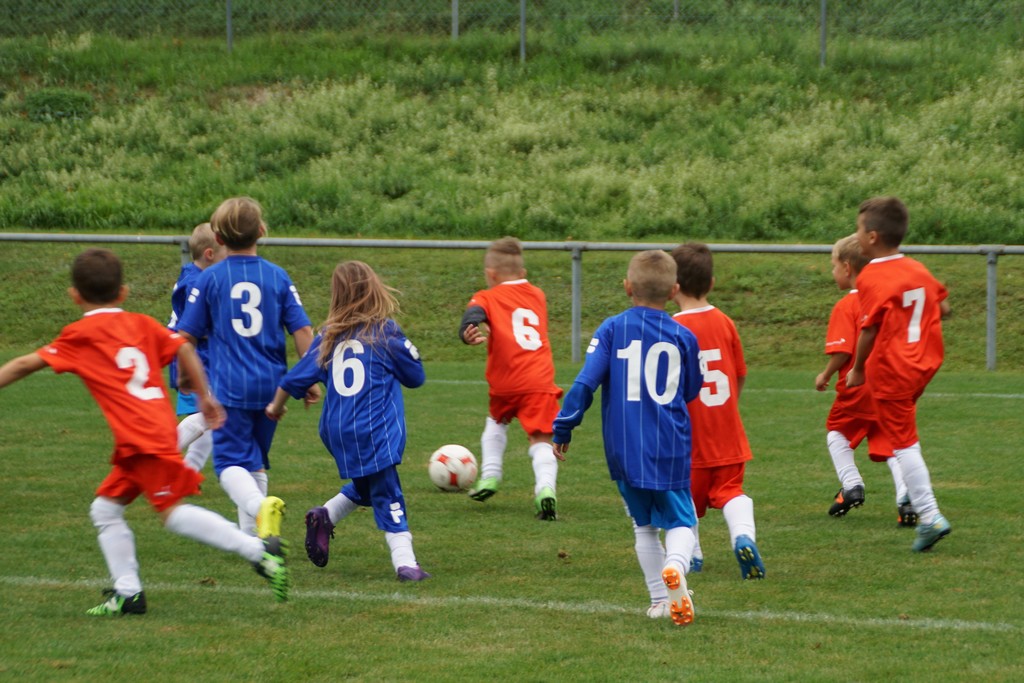 007.Jun. F 2019 2020