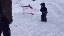 HockeySaveGIF
