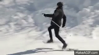 SnowshoeGIF