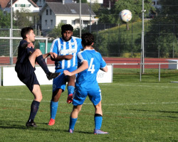 01.fcm fcw.03.05.2025