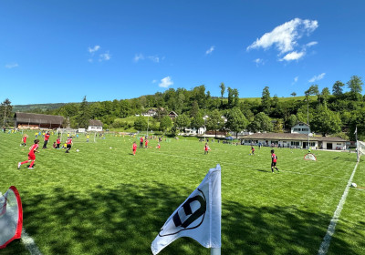 Jun. F Turnier 18.05.2024