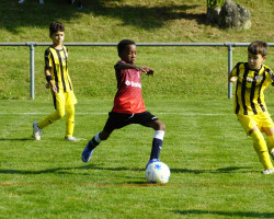 08.jun f turnier.08.2024