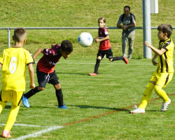 09.jun f turnier.08.2024