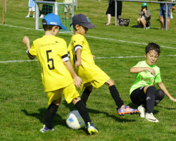 41.jun f turnier.08.2024