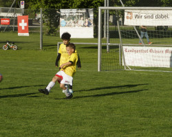 14.jun f turnier.05.2025