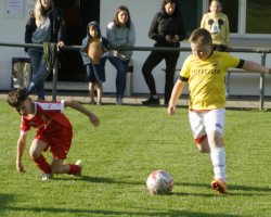 15.jun f turnier.05.2025