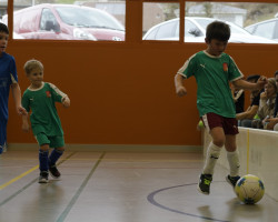 071.jun. hallenturnier fcm 24.02.2024