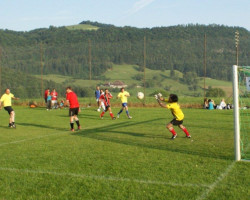 42.Dorfturnier 2010