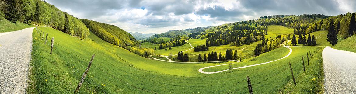 Scheltenpass web
