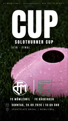 Cup-Fight im Guldental - Matchballsponsoring